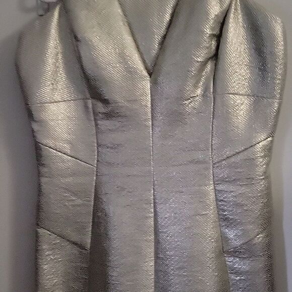 * * ROBERT RODRIGUEZ Silver Party Dress - Picture 5 of 9